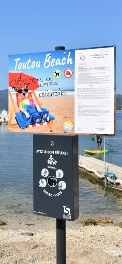 Romy Les Pieds Dans L'eau 10 M De La Apartment La Seyne-sur-Mer